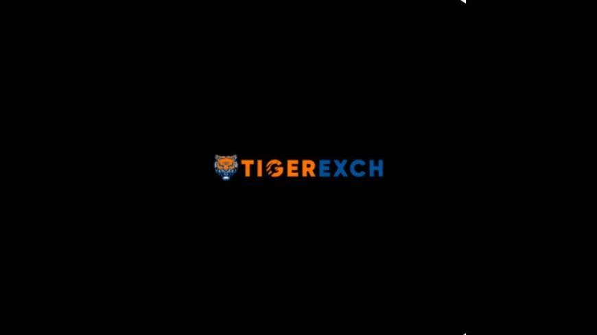 Tiger365 Pro: A Smarter Way to Explore the Digital Sports Landscape
