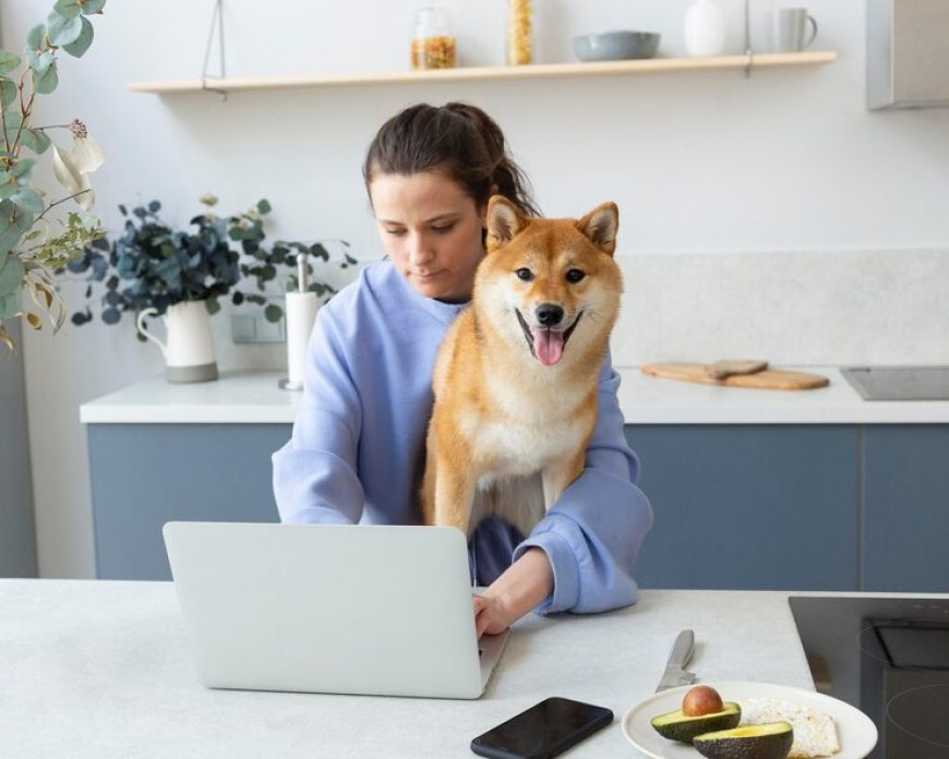 Sliding Dog Gate Questions Every Pet Owner Asks Before Ordering Online