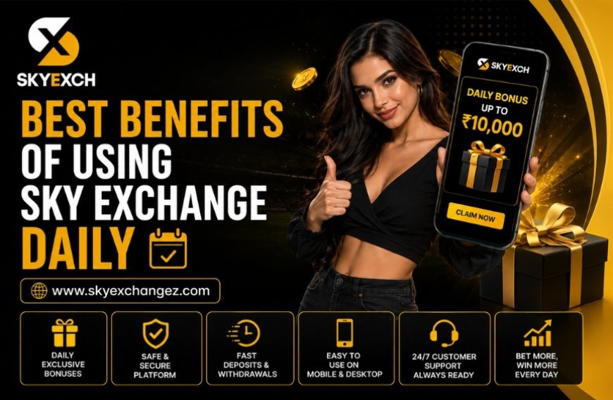 Sky Exchange App Review 2026: Mobile Platform Features Explained