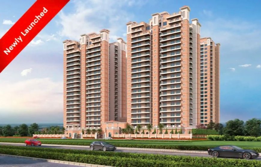 What to Check Before Buying a Luxury Flat in Yamuna Expressway