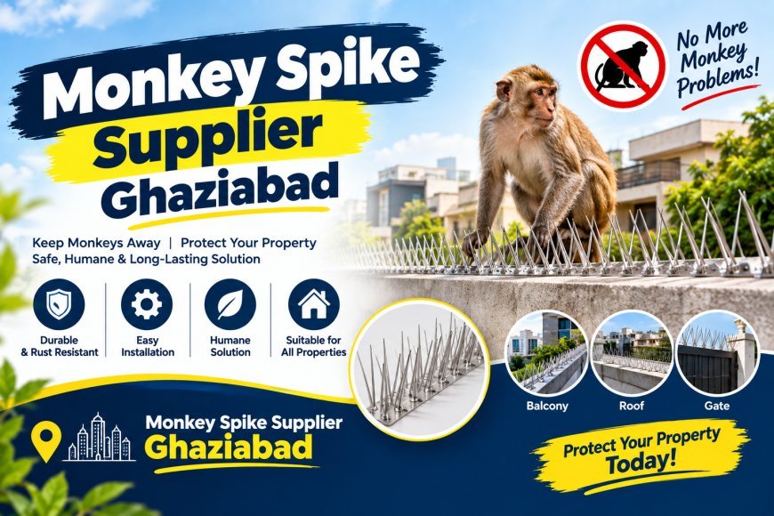 Monkey Spike Supplier Ghaziabad for Reliable Property Protection