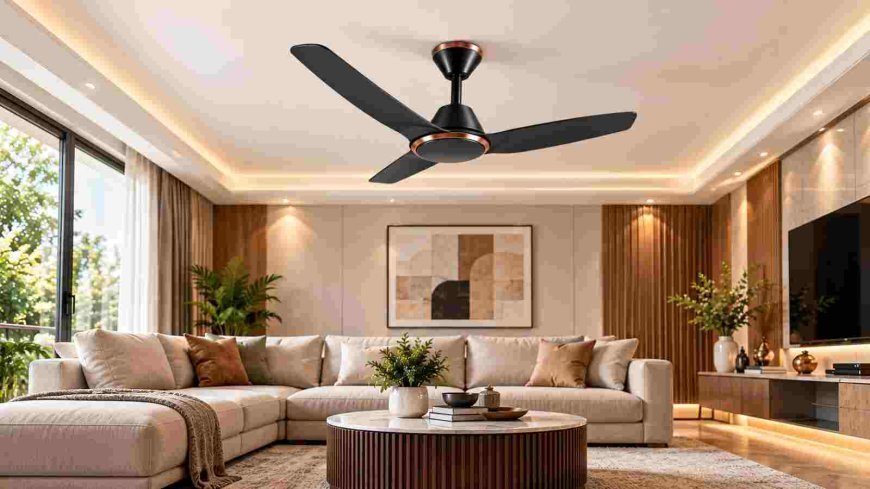What Makes BLDC Ceiling Fans a New-Age Cooling Choice?