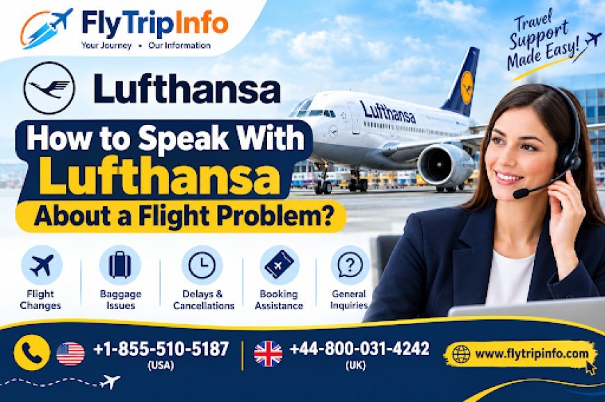 How to Speak With Lufthansa About a Flight Problem?