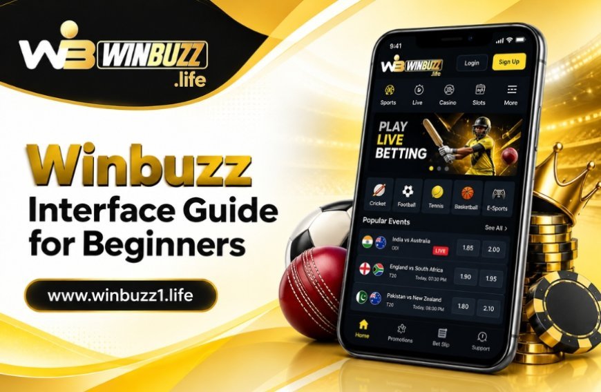 Winbuzz User Interface Guide: Find Important Features Easily