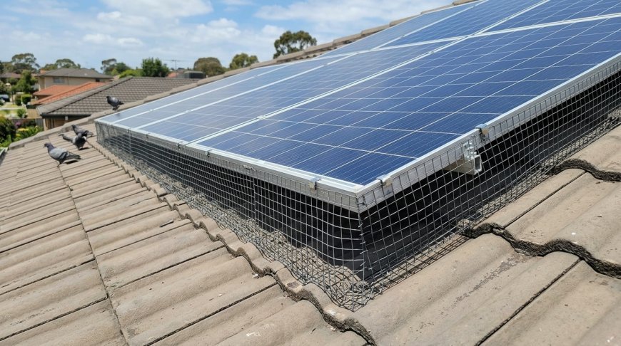 Stop Nesting Birds From Affecting Solar Panel Performance