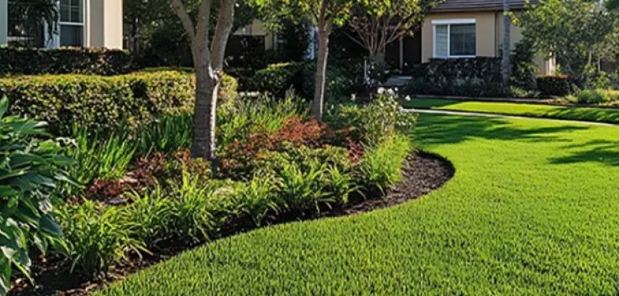 Transform Your Outdoor Space With Thoughtful Shreveport Landscaping Design