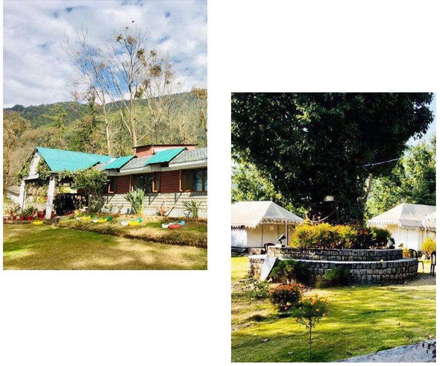 Resorts In Palampur for a Relaxing Holiday With a Swimming Pool