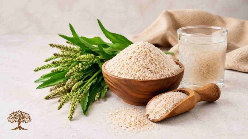 Why Psyllium Husk Matters in Modern Food Formulations