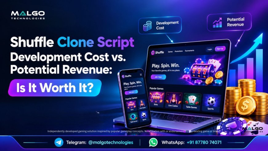 Shuffle Clone Script Development Cost vs. Potential Revenue: Is It Worth It?