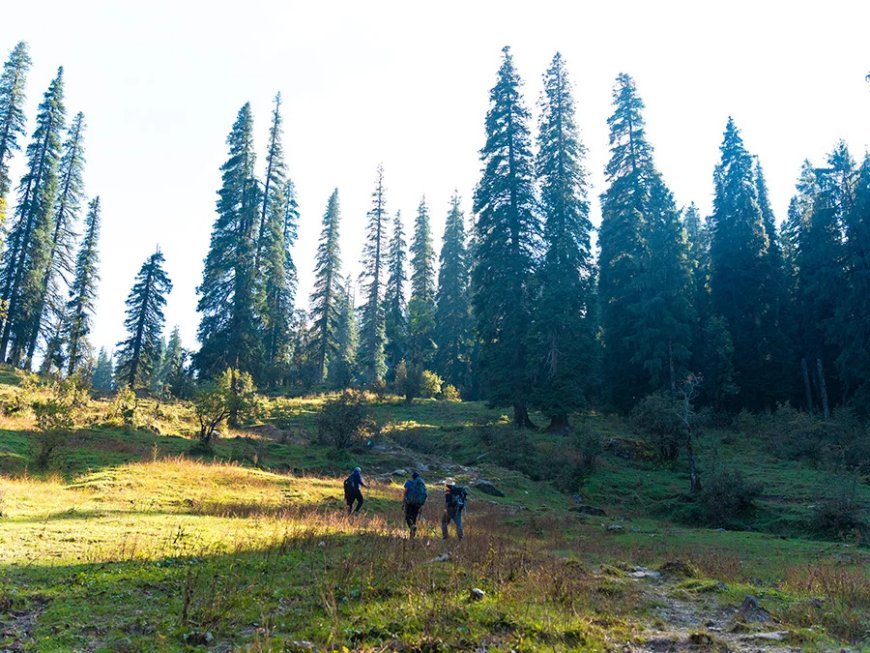 Kedarkantha Trek Cost, Best Time to Visit & My Winter Trek Experience with TTH