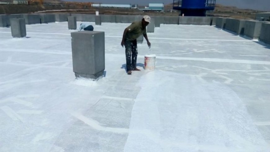 Roof Waterproofing Services for Industrial Roof Leakage