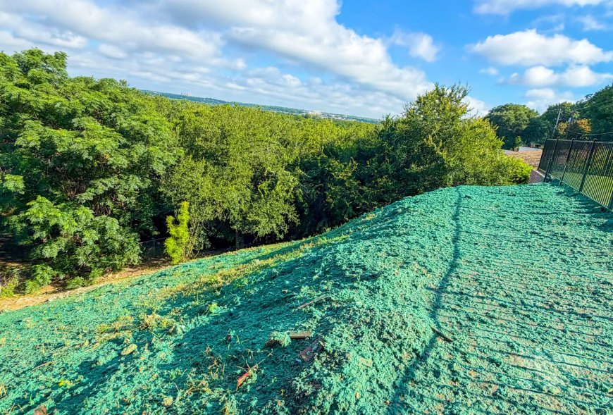 What to Expect from Professional Commercial Hydroseeding Services