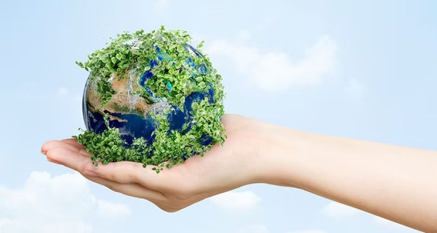 Alternative Plastic Manufacturers: Driving Sustainable Solutions for the Future