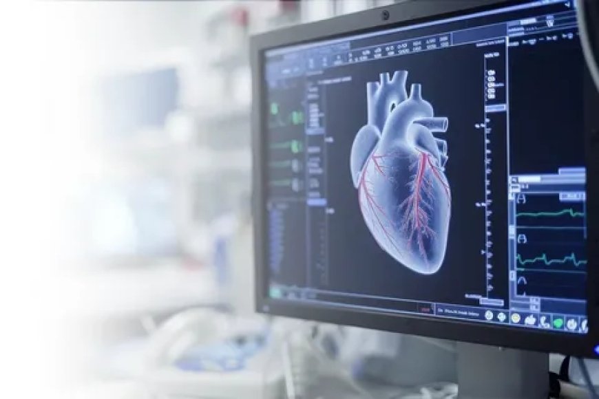 When Should You Check Echo Heart Test Price in Lahore?