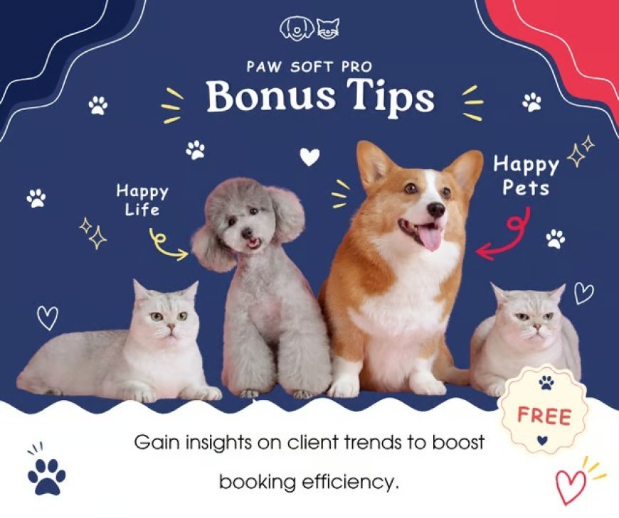 Digital Referral Program Ideas for Modern Pet Facilities