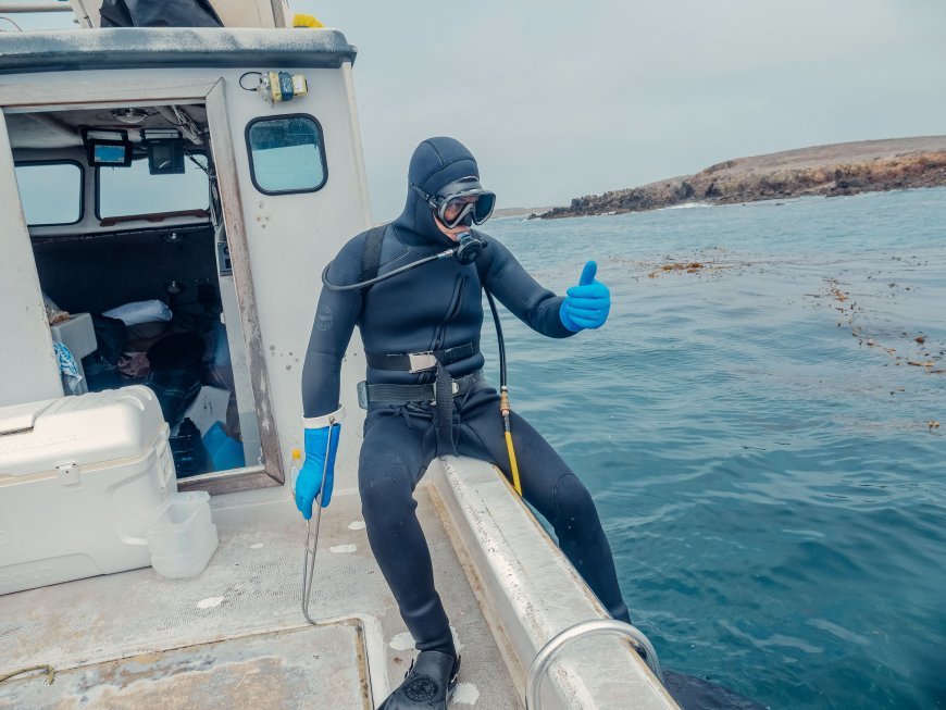 The Complete Scuba Diving Wetsuit Guide: Choose the Right Wetsuit for Every Dive