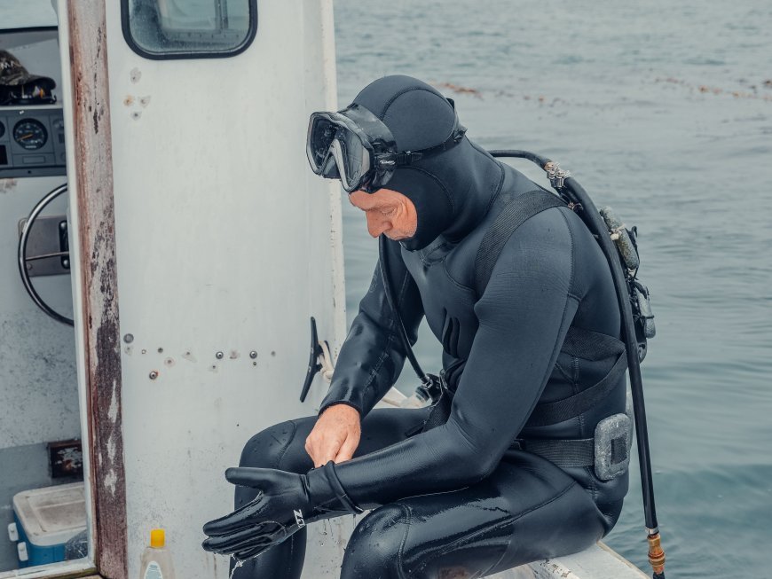 The Complete Scuba Diving Wetsuit Guide: Choose the Right Wetsuit for Every Dive