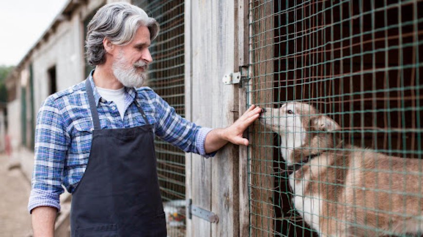 Choosing a Veterinarian in Brooklyn for Your Pet