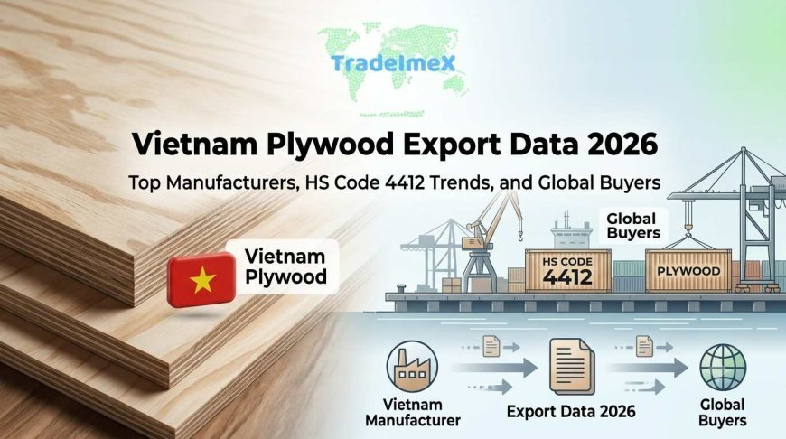 Vietnam Plywood Export Data 2026: Top Manufacturers, HS Code 4412 Trends, and Global Buyers
