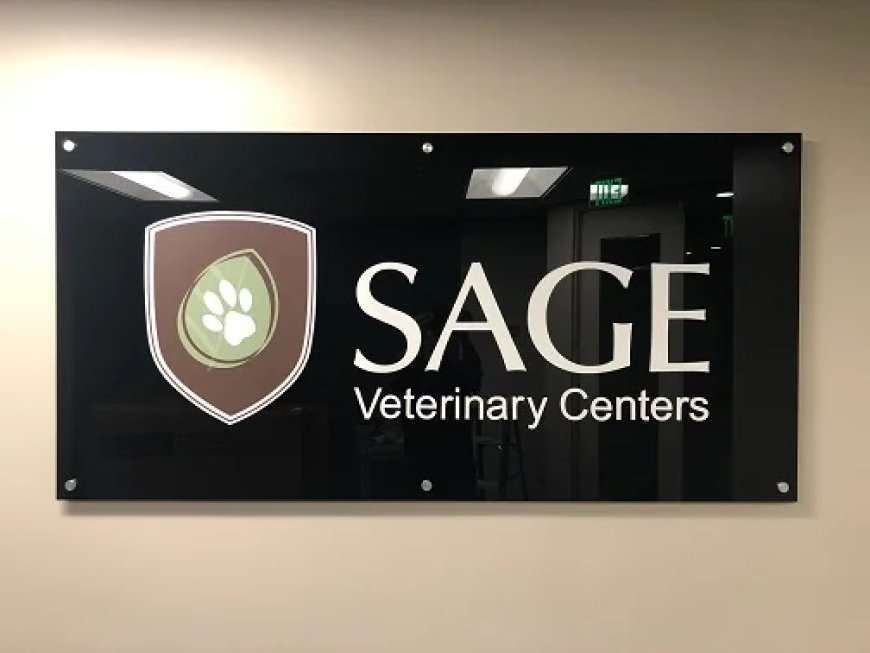 Choosing the Right Lobby Sign for Your San Jose Office or Commercial Space
