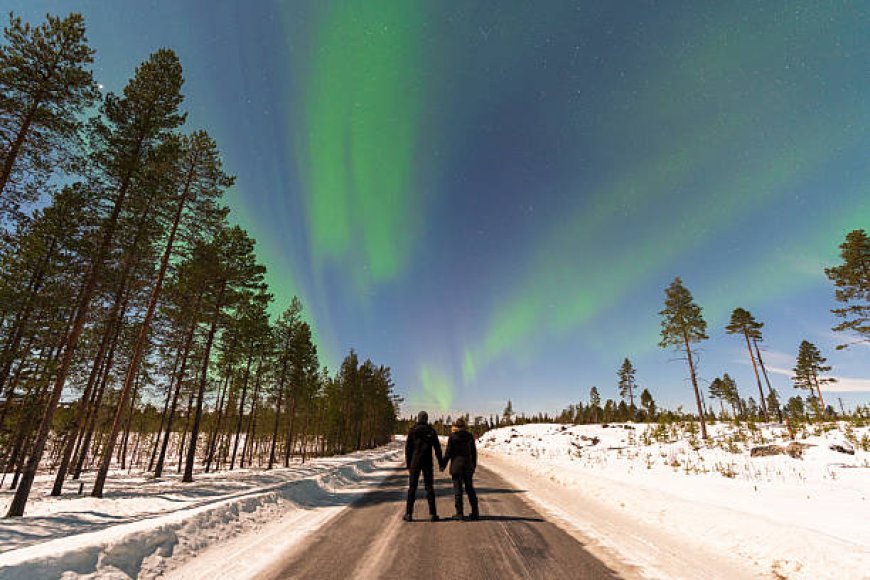 Are There Private Aurora Tours in Levi, Lapland?
