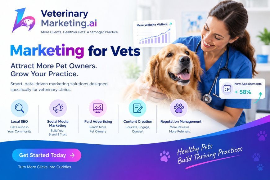 Why Veterinary Marketing Reports Should Track More Than Rankings and Traffic
