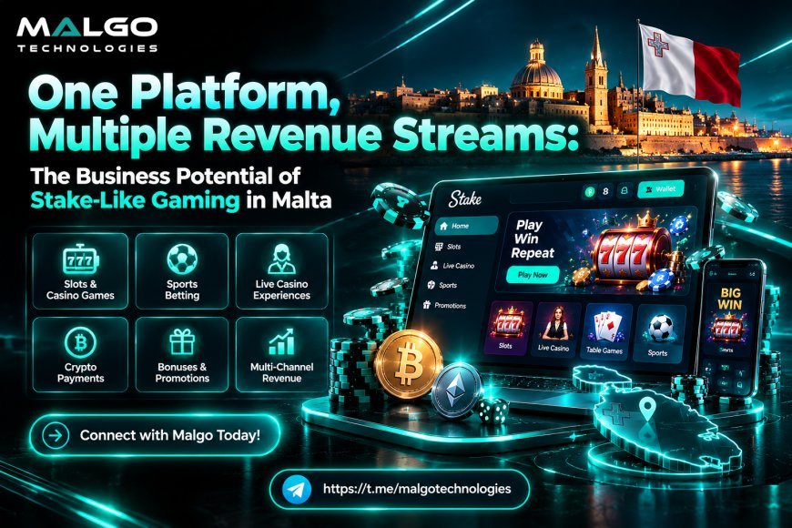 One Platform, Multiple Revenue Streams: The Business Potential of Stake-Like Gaming in Malta