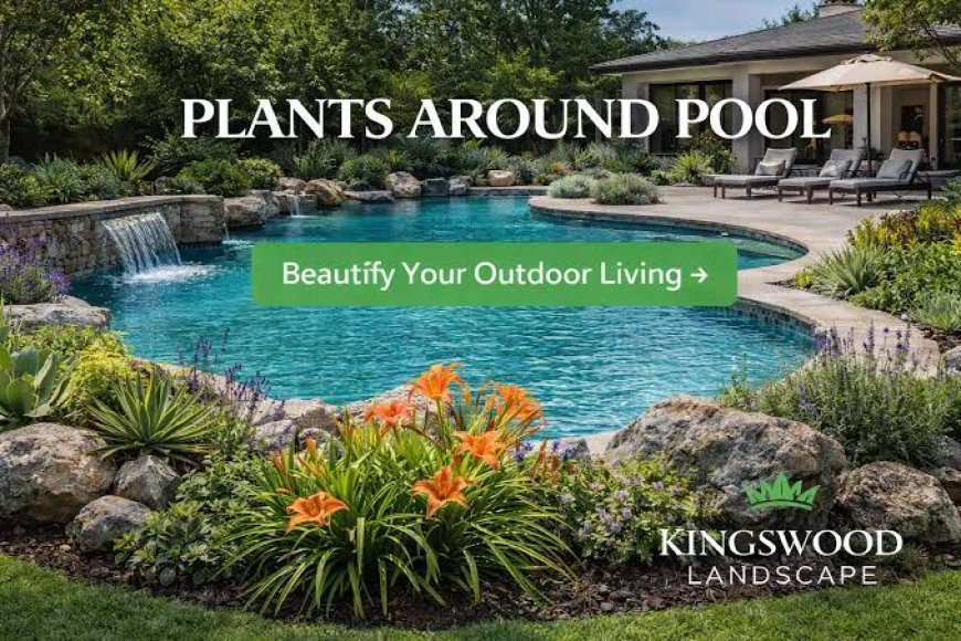 Kingswood Landscape: Choosing a Unilock Authorized Contractor in Texas for Lasting Outdoor Spaces