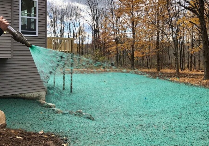 A Beginner's Guide to Hydroseeding in North Texas