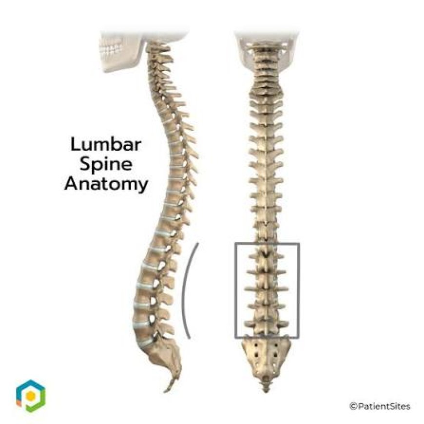 PTBY Art: Orthopedic Physical Therapy Ashburn for Better Mobility and Recovery