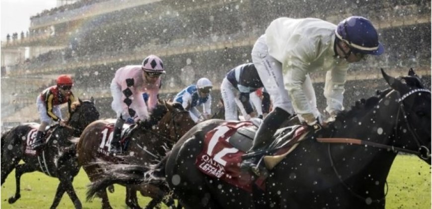 Hyderabad Horse Race Card Explained: A Complete Guide for Race Day Enthusiasts
