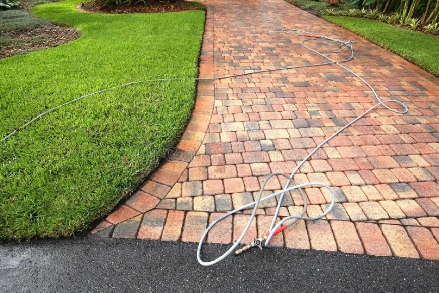 Paver Sealing Tampa FL: Benefits, Process, and Maintenance Tips
