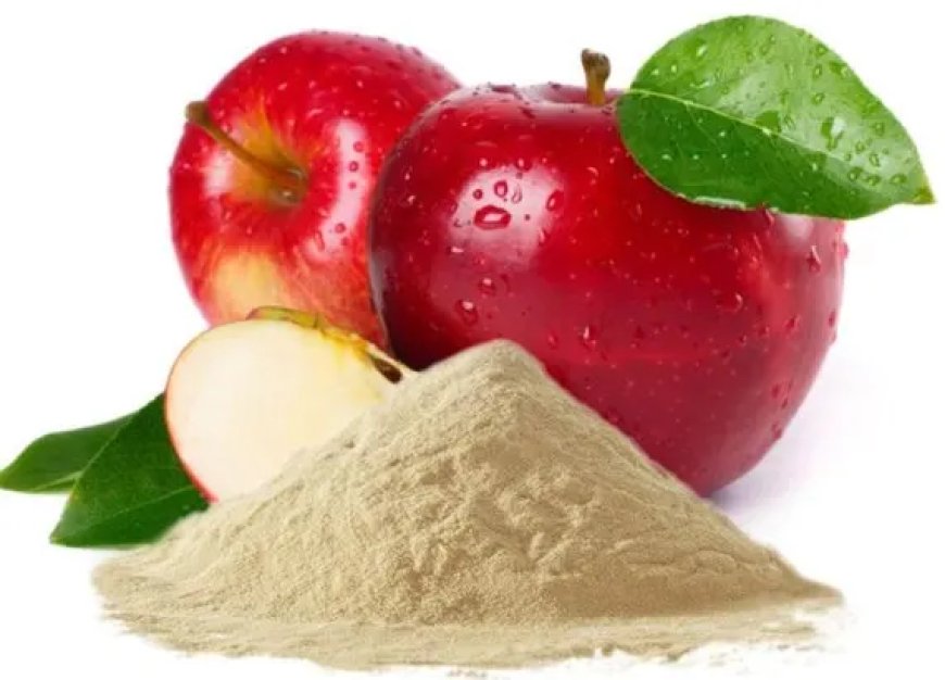 Pectin Powder Manufacturing Plant Cost 2026: Technological Requirements, Raw Material Expenses & Financial Planning