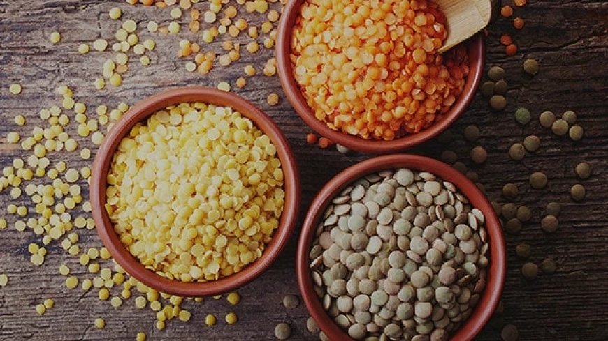 Lentil Processing Plant Project Report 2026: Investment Opportunities, Machinery Requirements, and Full Cost Analysis