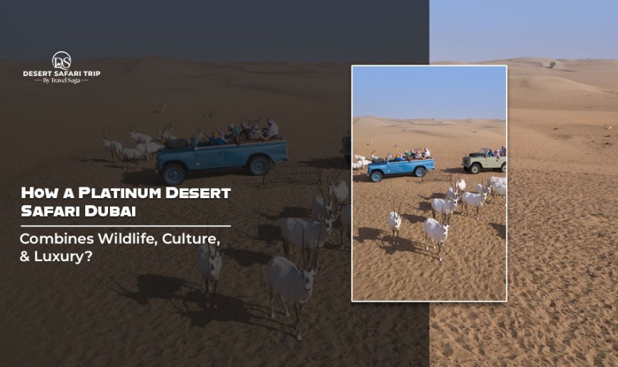 How a Platinum Desert Safari Dubai Combines Wildlife, Culture, and Luxury?