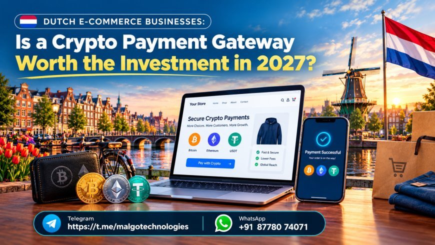 Dutch E-Commerce Businesses: Is a Crypto Payment Gateway Worth the Investment in 2027?