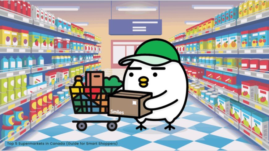 Discount Store in Canada: Shop Smart and Save More