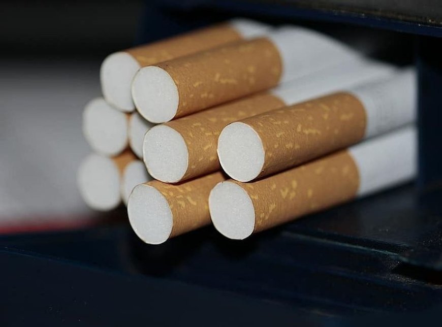 Cost of Setting Up a Cigarette Manufacturing Business in 2026: ROI Insights & Demand Analysis