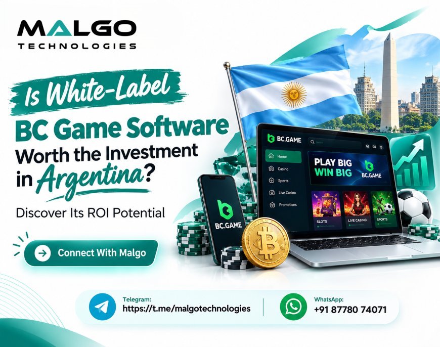 Is White-Label BC Game Software Worth the Investment in Argentina? Discover Its ROI Potential