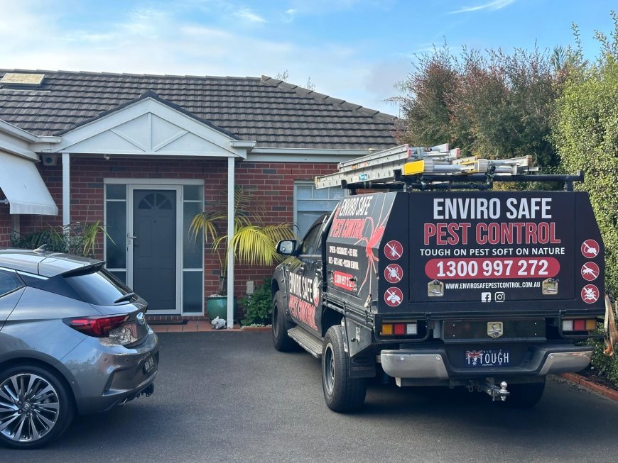 Beyond the Garden Fence: Smart Ways to Manage Possums and Pests Around Melbourne Properties