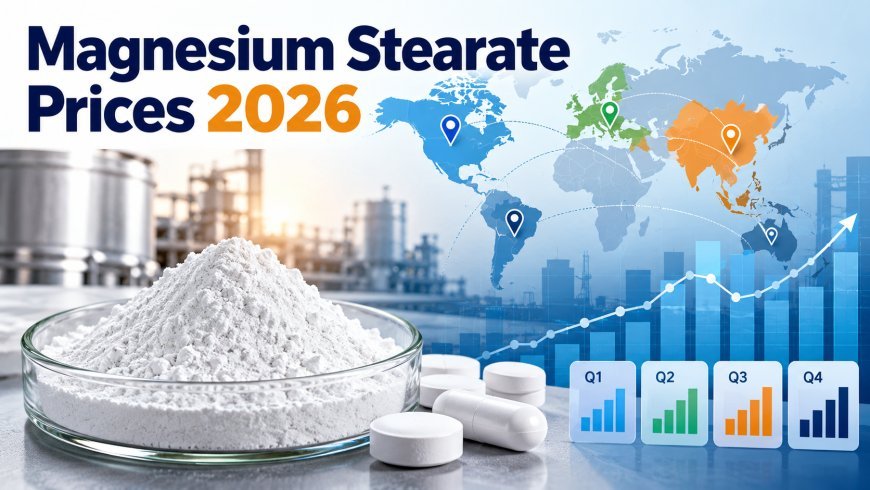 Magnesium Stearate Price Report: Regional Trends and Quarterly Insights