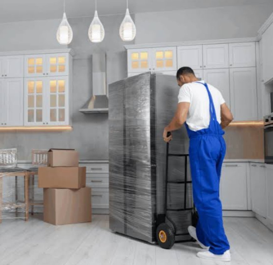 Furniture Moving Companies NZ: Find Reliable Movers with 1Van