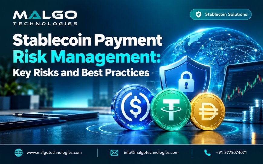 Stablecoin Payment Risk Management: Key Risks and Best Practices