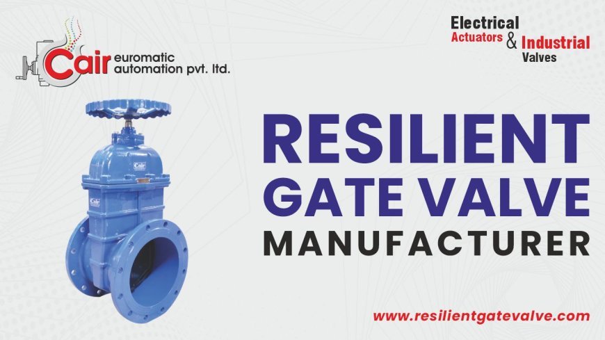 Sluice Gate Valve Manufacturer in India