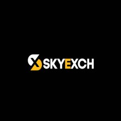 Skyexchangebr